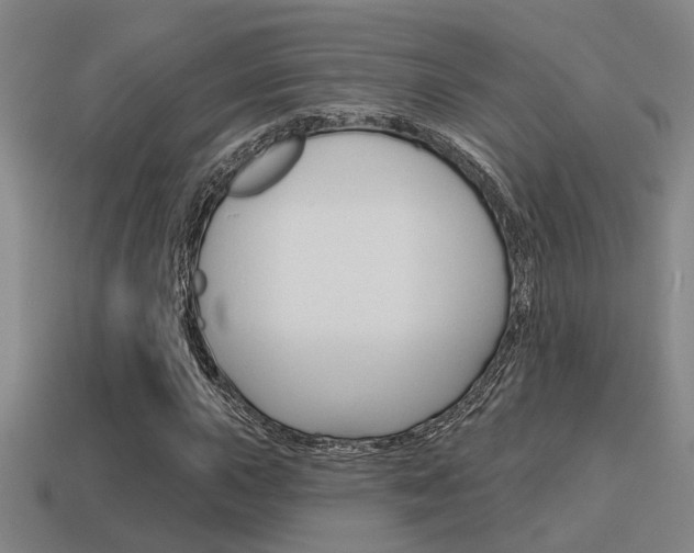 X0000115651015200911101112