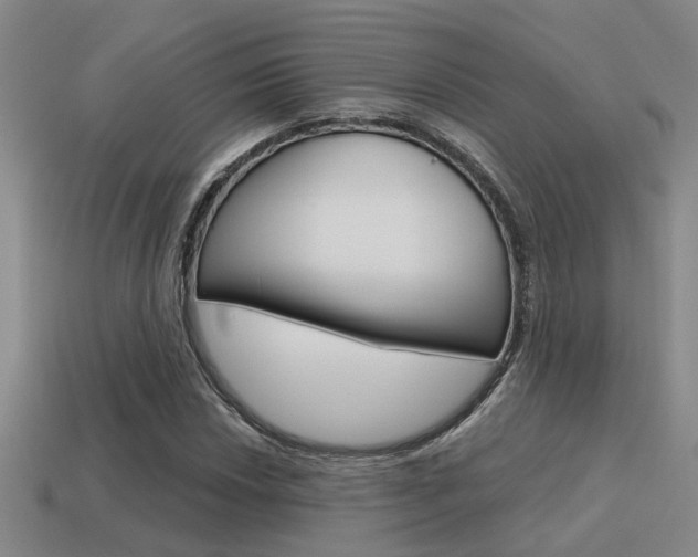 X0000115651018200911101112