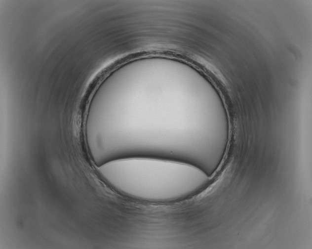 X0000115651021200911101112