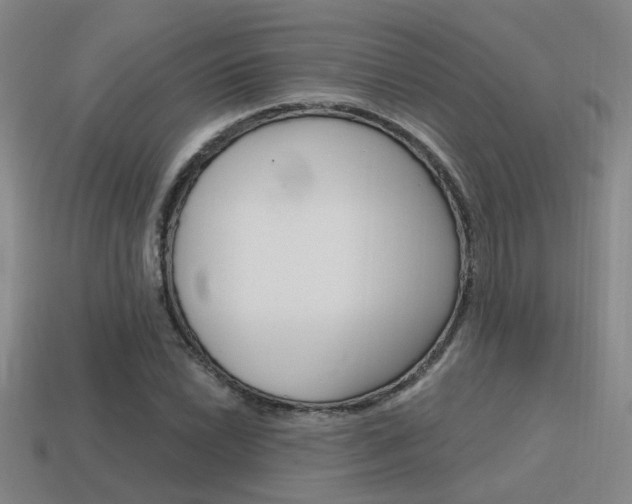 X0000115651022200911101112