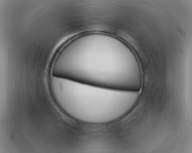 X0000115651024200911101112