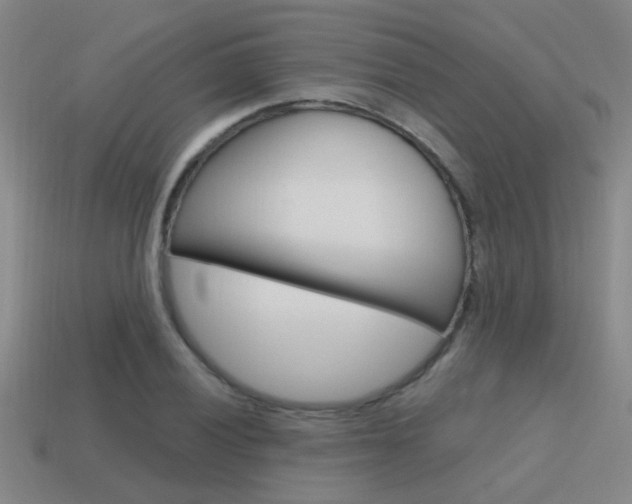 X0000115651028200911101112