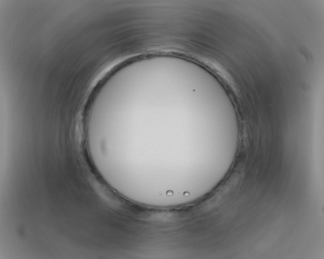 X0000115651031200911101112