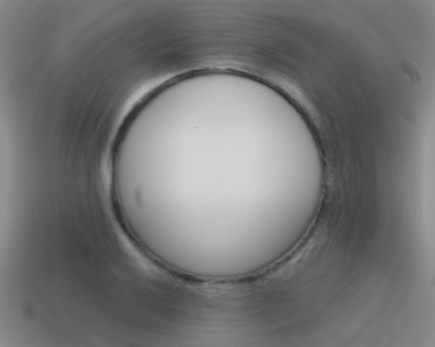 X0000115651032200911101112
