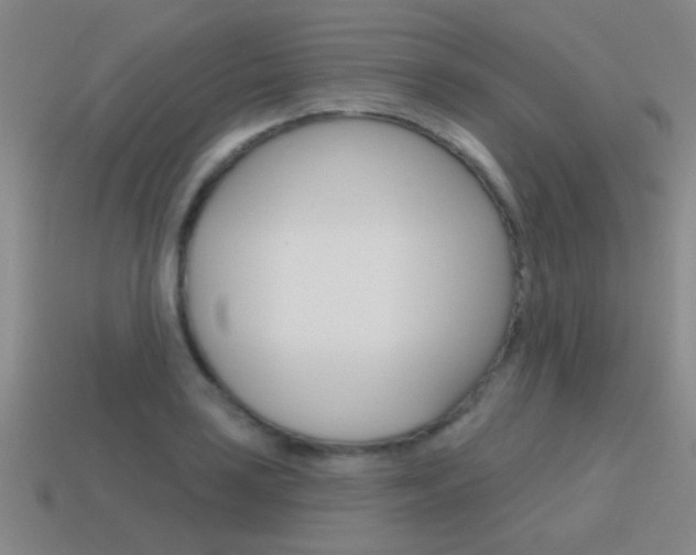 X0000115651035200911101112