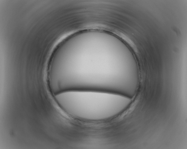 X0000115651037200911101112