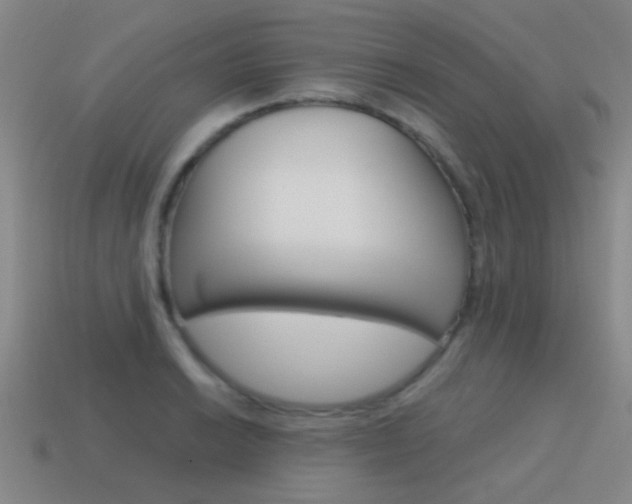 X0000115651038200911101112