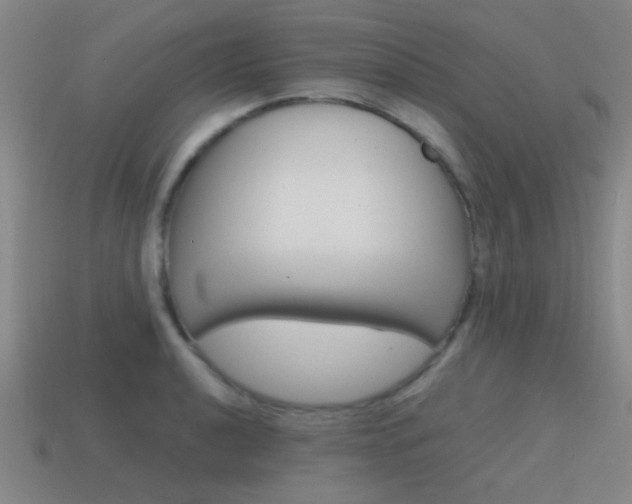 X0000115651040200911101112