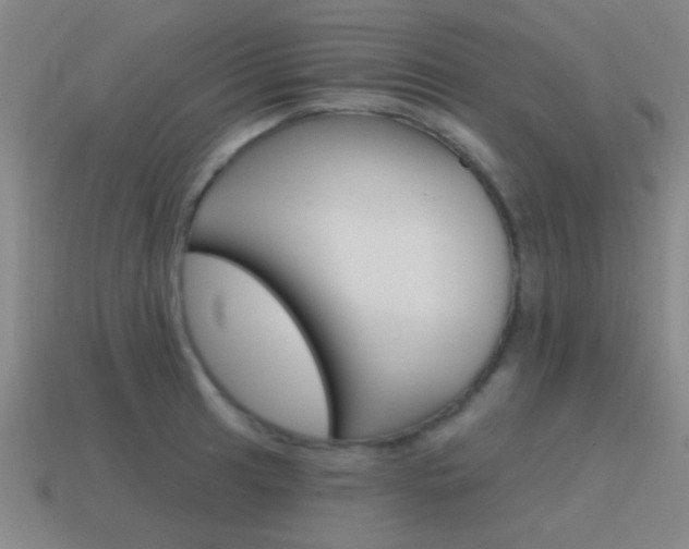 X0000115651041200911101112