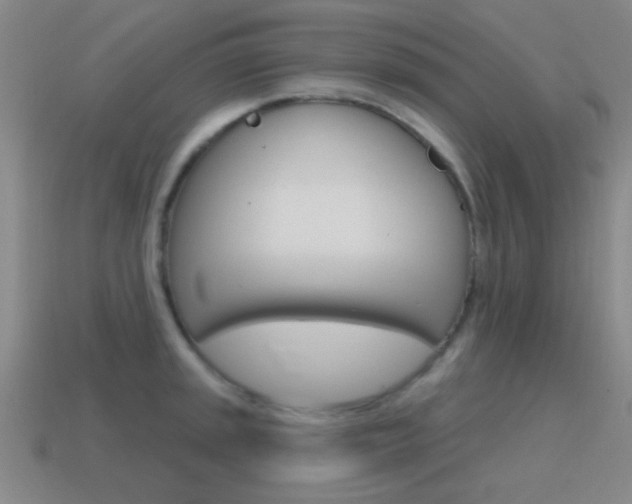 X0000115651045200911101112