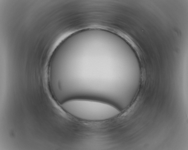 X0000115651048200911101112