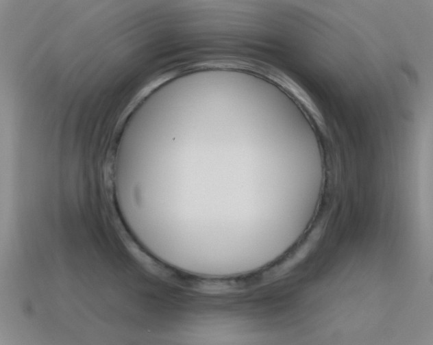X0000115651049200911101112