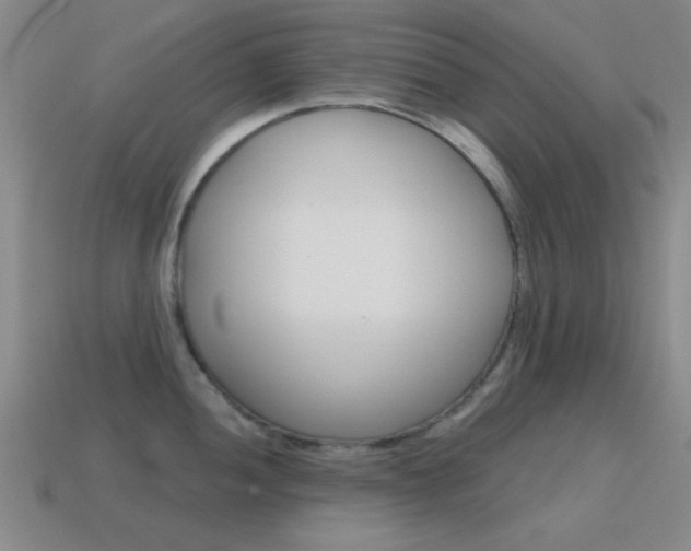 X0000115651052200911101112