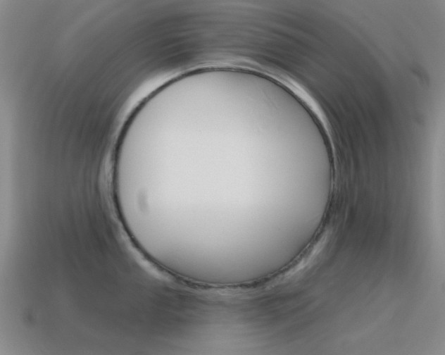 X0000115651053200911101112