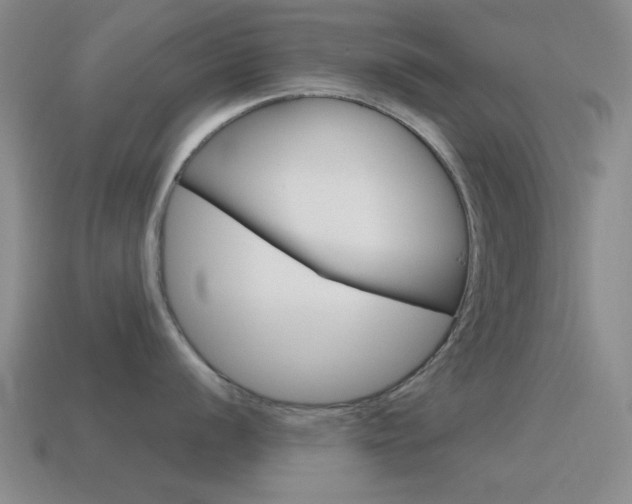 X0000115651056200911101112