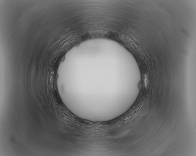X0000115651059200911101112