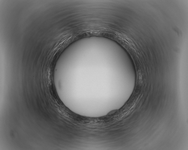 X0000115651060200911101112