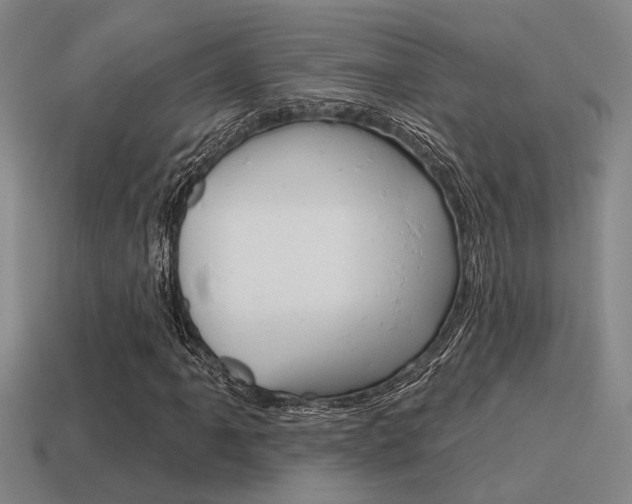 X0000115651061200911101112