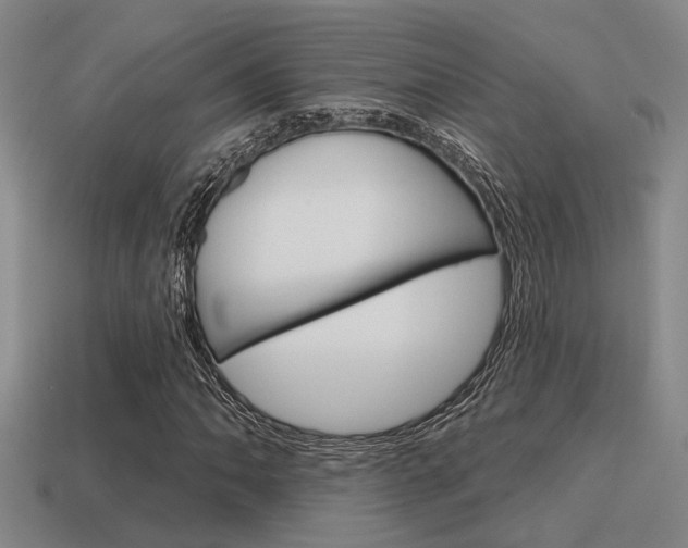 X0000115651062200911101112