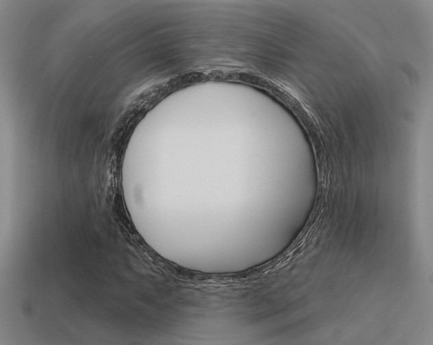 X0000115651063200911101112