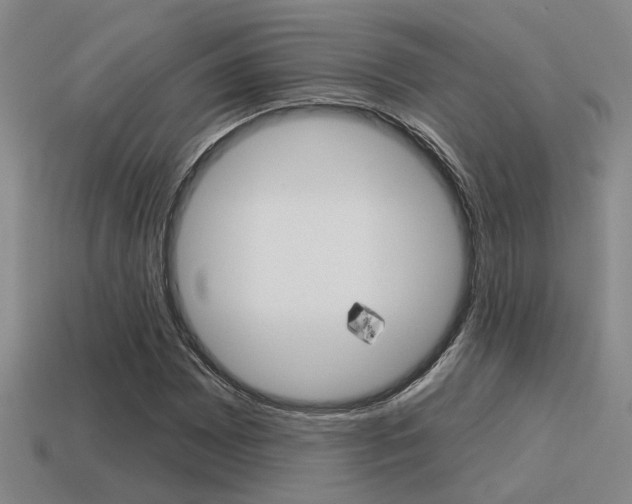 X0000115651065200911101112