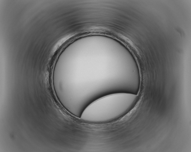 X0000115651066200911101112