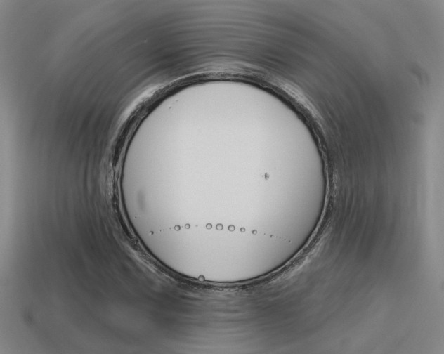 X0000115651067200911101111