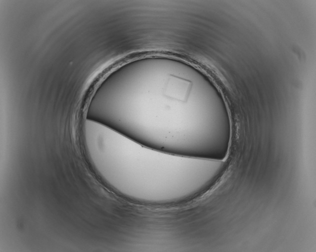 X0000115651069200911101111