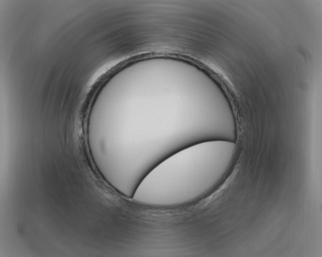 X0000115651070200911101111