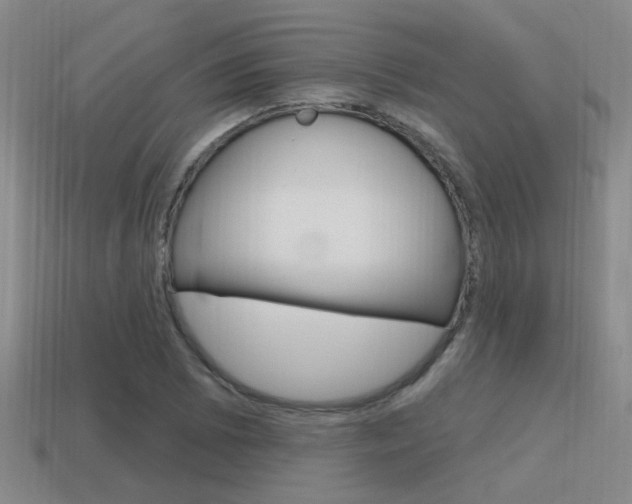 X0000115651073200911101111