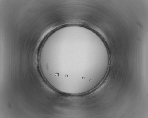 X0000115651075200911101111