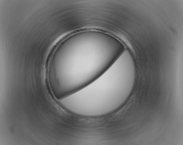 X0000115651076200911101111