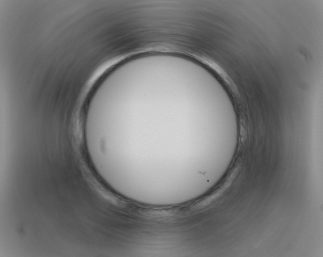 X0000115651078200911101111