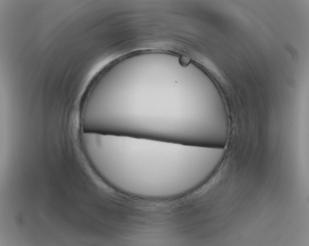 X0000115651079200911101111