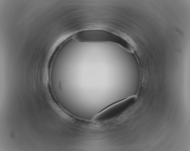 X0000115651080200911101111