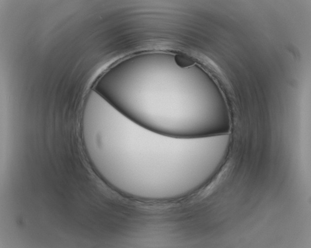 X0000115651081200911101111