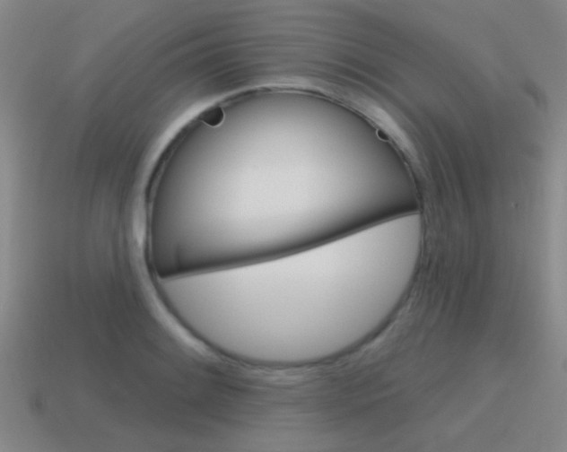 X0000115651084200911101111
