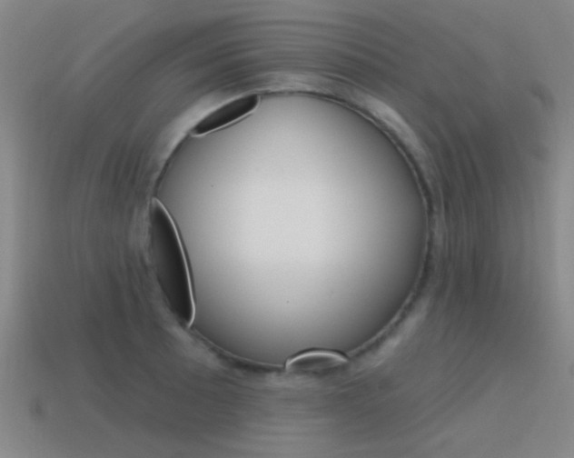X0000115651089200911101111