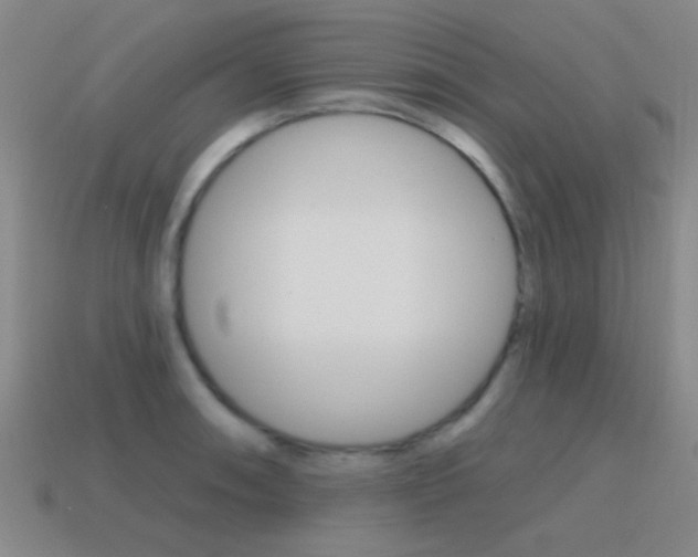 X0000115651090200911101111
