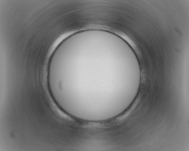 X0000115651094200911101111