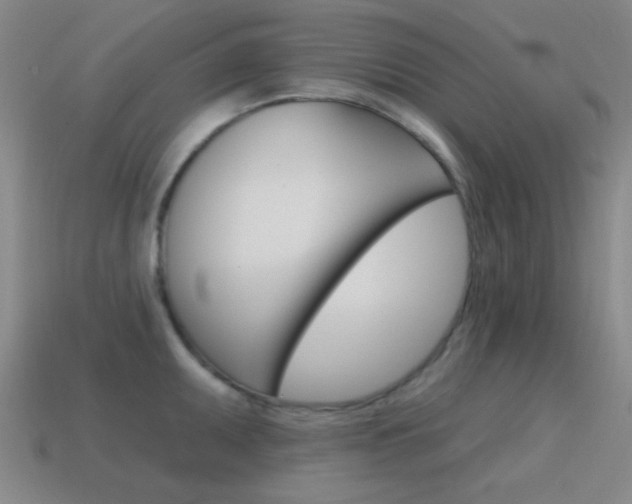 X0000115651095200911101111