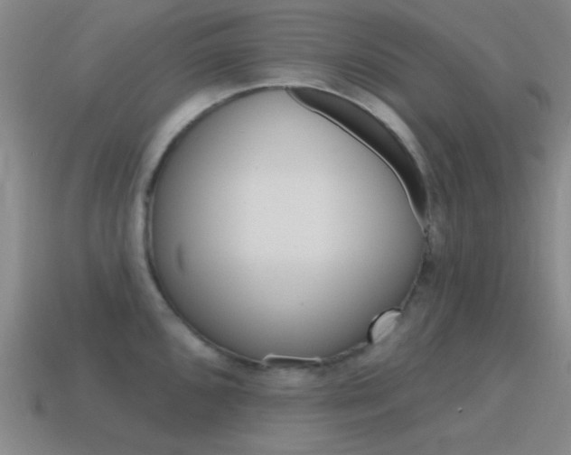 X0000115651096200911101111