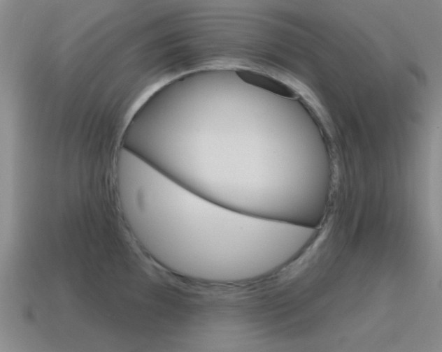 X0000115651097200911101111