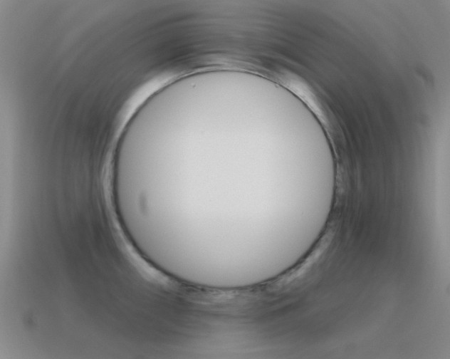 X0000115651098200911101111