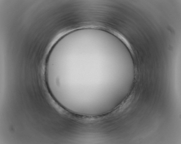 X0000115651099200911101111