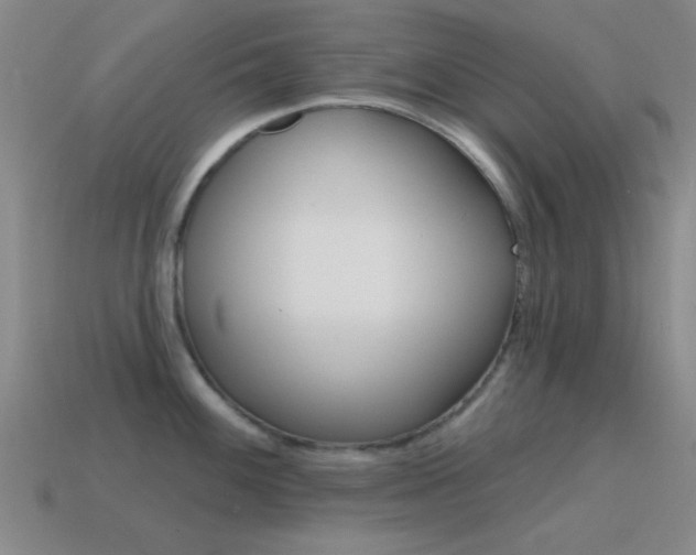 X0000115651100200911101111