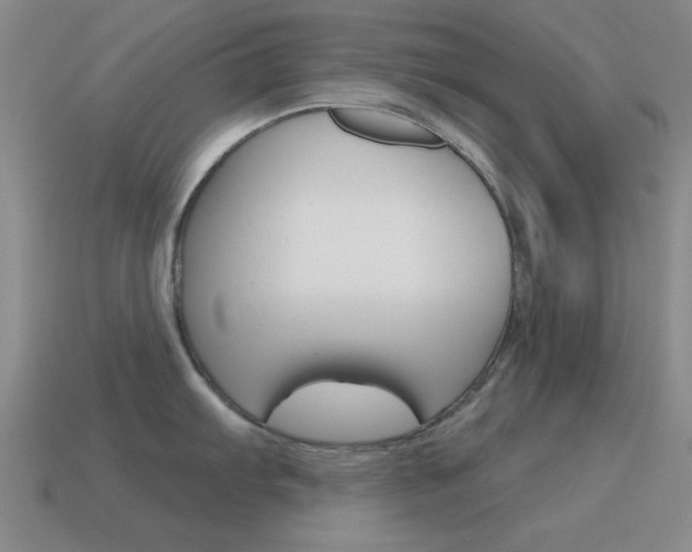X0000115651103200911101111
