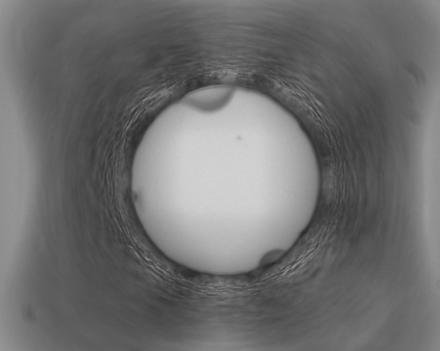 X0000115651105200911101110