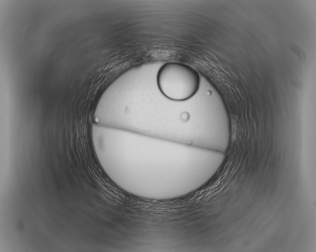 X0000115651106200911101110