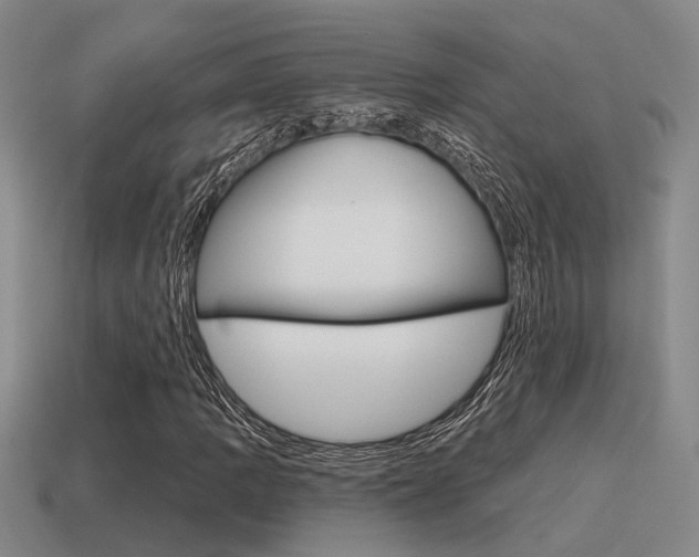 X0000115651109200911101110
